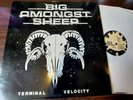 Big Amongst Sheep - Terminal Velocity . Vinyl. LP . 1982 . Rock Solid Records