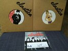 Elastica ?– Connection and Waking up.7