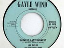 LEE FIELDS 45 Shake It Lady Shake It GAYLE WIND Rc 83 HEAR Rare Miami DISCO FUNK