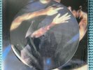 Siouxsie And The Banshees, The Scream Picture Disc. New Sealed Mint.