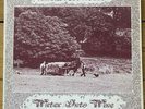 CJT 002 Water Into Wine Band - Harvest Time signed