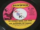 SHADOWS OF KNIGHT I'm Gonna Make You Mine / Make You Sorry DJ DUNWICH 141 VG