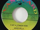 Junior Wells 