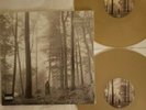 Taylor Swift - Folklore-NM/NM 2020 Pop Rock Brown Shrink Hype Deluxe Shrink