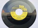 Tan Geers – What's The Use Of Me Trying - NORTHERN SOUL
