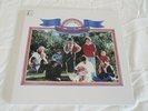 The Beach Boys Sunflower 2016 Remaster 200g Vinyl LP Gatefold Capitol SHIPS FREE