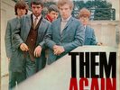 THEM french LP decca 158019S