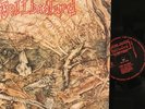 Hellbastard – Heading For Internal Darkness LP 1988 Meantime – COX 008 *UK EX/EX