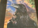 THE STRANGLERS ,THE RAVEN 3D PICTURE COVER With Inner Sleeve