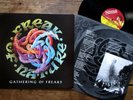 FREAK OF NATURE - Gathering Of Freaks (1994) Vinyl, LP MFN 169 - Hard Rock - EX