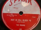 THE ROBINS SPARK 103 RIOT IN CELL BLOCK #9  VG/VG+ CONDITION  PBTL