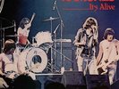The Ramones - It's Alive - LP