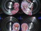 BRAND NEW SEALED 2005 Holofoil Ltd. Ed. Tool LATERALUS Full COLOR PICTURE 2LP