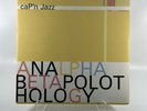 Cap'n Jazz - Analphabetapolothology Vinyl Record 2010 Clear Color Variant