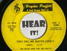 Private CA Moody Garage / Rocker 45 JIM HEAD & THE DEL-RAYS on HAYDEN PROFFITT