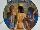 Pink Floyd Rare Beauties Picture Disc France LP Record Ultrasonic Clean NM