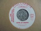 The International Submarine Band - Sum Up Broke 1966 USA 45 COLUMBIA DJ/PROMO