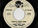 Garage 45 - Baby Ray & Ferns - How's Your Bird - Donna - mp3 - rare Frank Zappa