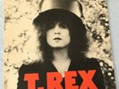 T-REX - THE SLIDER + INNER - UK ISSUE A-1U / B-1U - VERY GOOD++