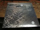FLEET FOXES Shore 2xLP sealed CLEAR VINYL Etched 2021 Record FOLK ROCK Indie NEW