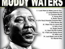 The Best Of Muddy Waters