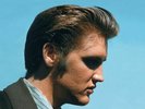 BOOK/ LIVRE ELVIS PRESLEY LOVE ME TENDER   FOLLOW THAT DREAM RECORDS