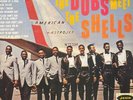 THE DUBS MEET THE SHELLS - 12