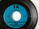 Thirteenth Floor Elevators-Tried to Hide & You're Gonna-1966-45 RPM IA RECORDS