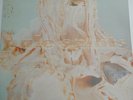 Pale Saints-In Ribbons-vinyl LP(no bonus 7