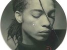 Introducing The Hardline Terence Trent D'Arby picture disc LP