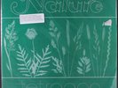 TETRAGON: nature AMBER SOUNDROOM 12