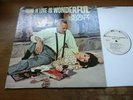JIMMY SCOTT Falling In Love Is Wonderful US 1st Press Jazz Vocal LP PROMO EX