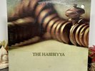 SEALED 1972 The Habibiyya If Man But Knew Prog/Psych Island LP Vinyl Drill Hole