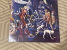 Cathedral - Forest of Equilibirum Vinyl