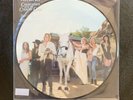 LANA DEL REY Chemtrails Over The Country Club - Spotify Picture Disc Vinyl RARE 