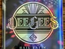 Dee Gees Hail satin Foo Fighters RSD Vinyl