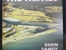 The Triffids - Born Sandy Devotional LP Alt Pop Rock Aus Original
