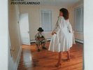 CRACK THE SKY Photoflamingo LS8133 Sterling wlpro LP Vinyl VG+near++ Cvr VG+ Slv