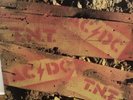 AC/DC TNT LP Australian.Red Label.And a FREE LIVE ALBUM.