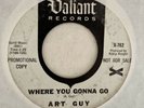 ART GUY Rare ‘67 Garage Fuzz 45 rpm Where You Gonna Go WLP Valiant Records V-762