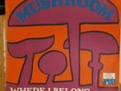 Powerful Dutch Psych Hard Rock 45 Mushroom Where I Belong JAN AKKERMAN HEAR