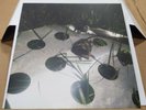 Lil Ugly Mane - Oblivion Access(2015) Tombstone LP Ormolycka - oo100sssss LUM
