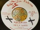 Rare Minnesota Garage 45 The C.A. Quintet Blow to My Soul FALCON VG+ HEAR