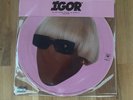 IGOR PICTURE DISC / LIMITED EDITION / NEVER PLAYED VINYL / TYLER THE CREATOR