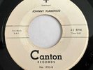R&B Doo Wop JOHNNY FLAMINGO It Were You / I CANTON Rare 45 VG+