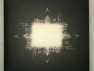 Tool Aenima Vinyl 2 LP Gatefold Import Zoo BMG Insert Included 1996 Played Once