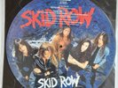 Skid Row Wasted Time 12” Ltd Picture Disc with stencil unplayed.