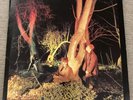 Echo And The Bunnymen Crocodiles UK Vinyl Korova Records WEA- K58175 1980-VG
