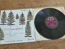 Sibelius Violin Concerto Oistrakh UK ED1 Philips Plum HIFI Stereo SABL 195 EX LP