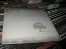 Genesis LP Wind And Wuthering Sealed 2018